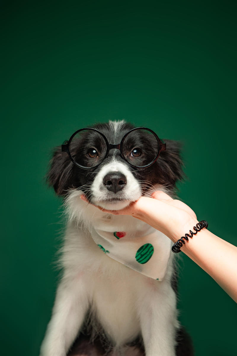loading