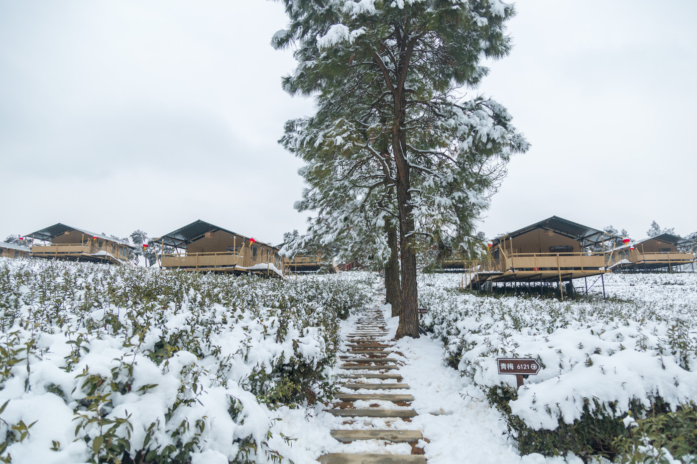 喜马拉雅野奢帐篷酒店—雪景4
