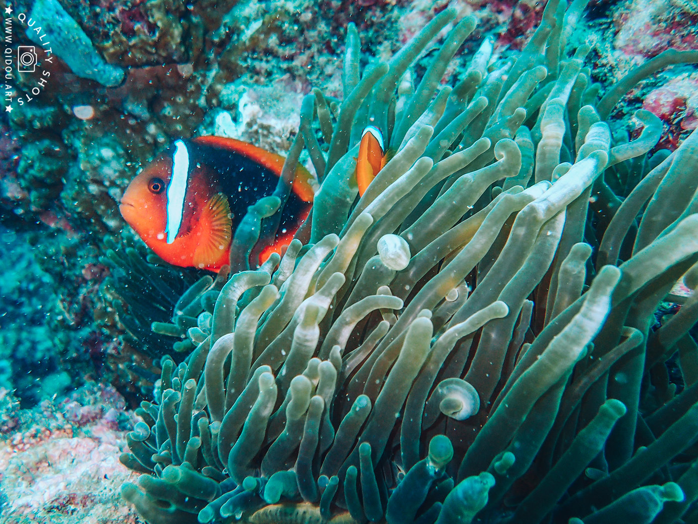 台湾旅行摄影游记 垦丁 绿岛 池上 九份 杨寅 摄影师七斗先生成都婚礼跟拍活动摄影商业摄影形象照婚纱旅行摄影公关摄