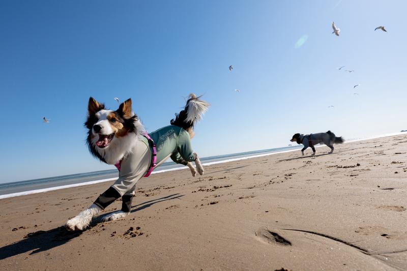 loading