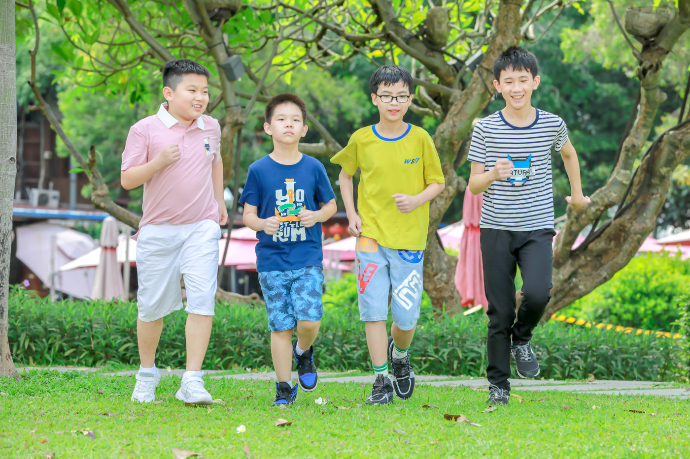 三元坊小学六年1班 大熊猫毕业季 大熊猫 毕业 校园 拍摄