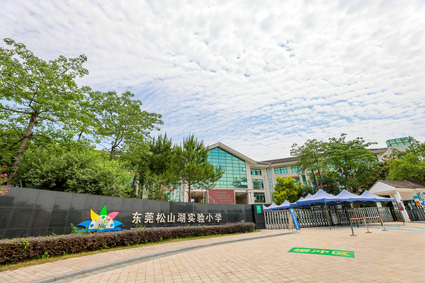 松山湖实验小学六年4班 大熊猫毕业季 大熊猫 毕业 校园 拍摄