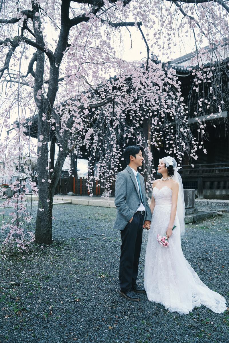 京都樱花婚纱照 第8张 日本婚纱照 日本旅拍 京都樱花婚纱照 日本樱花婚纱照 日本尼鹿摄影
