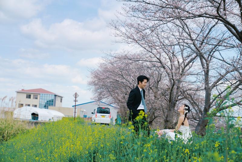 奈良列车樱花婚纱 第15张 日本婚纱照 日本旅拍 奈良旅拍 日本樱花婚纱照 日本尼鹿摄影