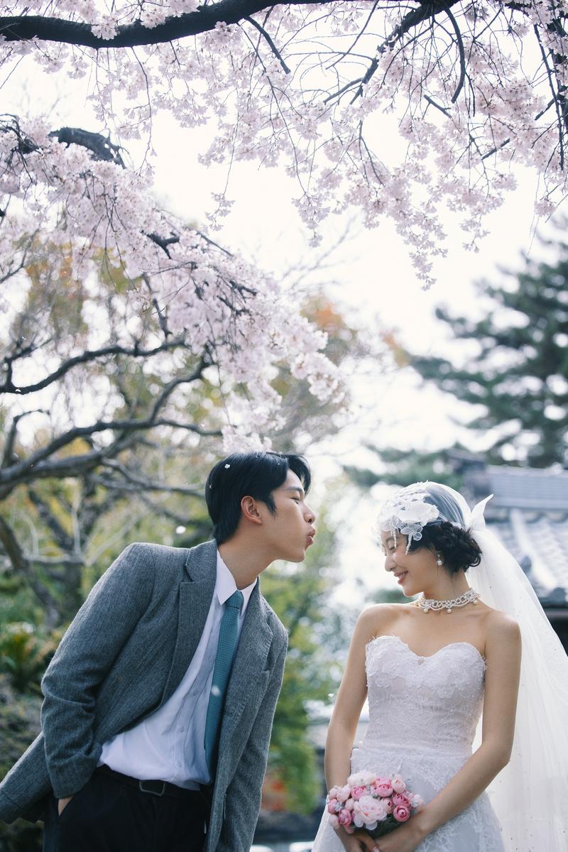 京都樱花婚纱照 第22张 日本婚纱照 日本旅拍 京都樱花婚纱照 日本樱花婚纱照 日本尼鹿摄影