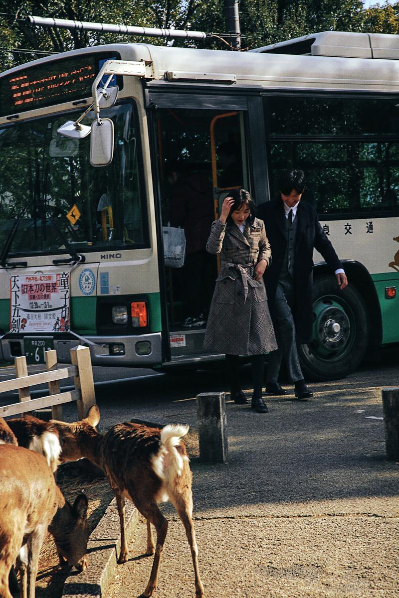 日本奈良旅拍 第8张 日本婚纱照 日本旅拍 奈良旅拍 日本尼鹿摄影