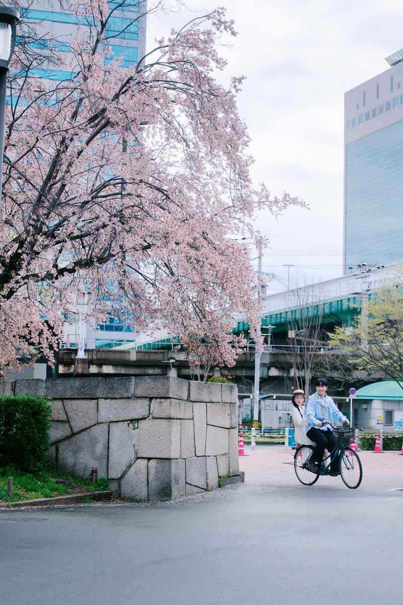 大阪余命十年樱花情侣照 日本婚纱照 日本旅拍
