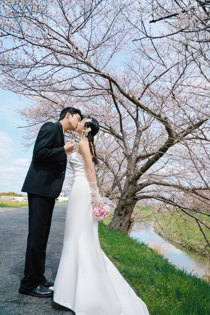 奈良列车樱花婚纱 第17张 日本婚纱照 日本旅拍 奈良旅拍 日本樱花婚纱照 日本尼鹿摄影