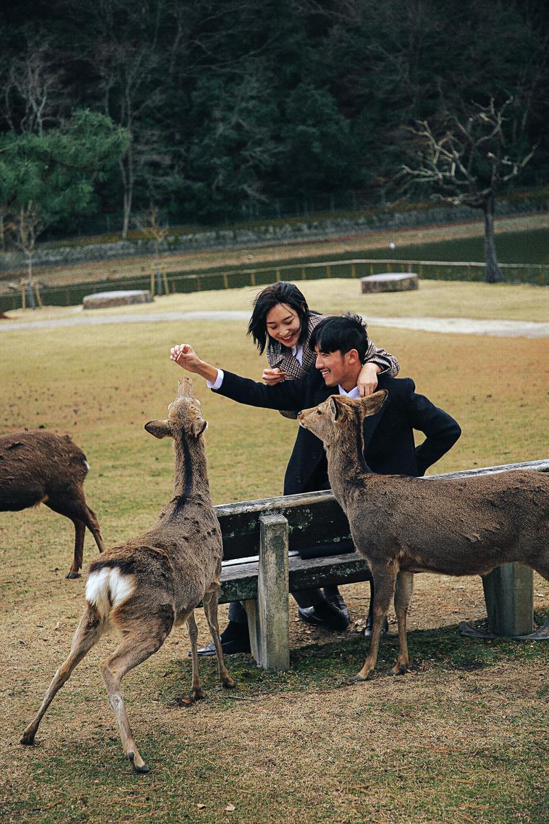 日本奈良旅拍 第4张 日本婚纱照 日本旅拍 奈良旅拍 日本尼鹿摄影