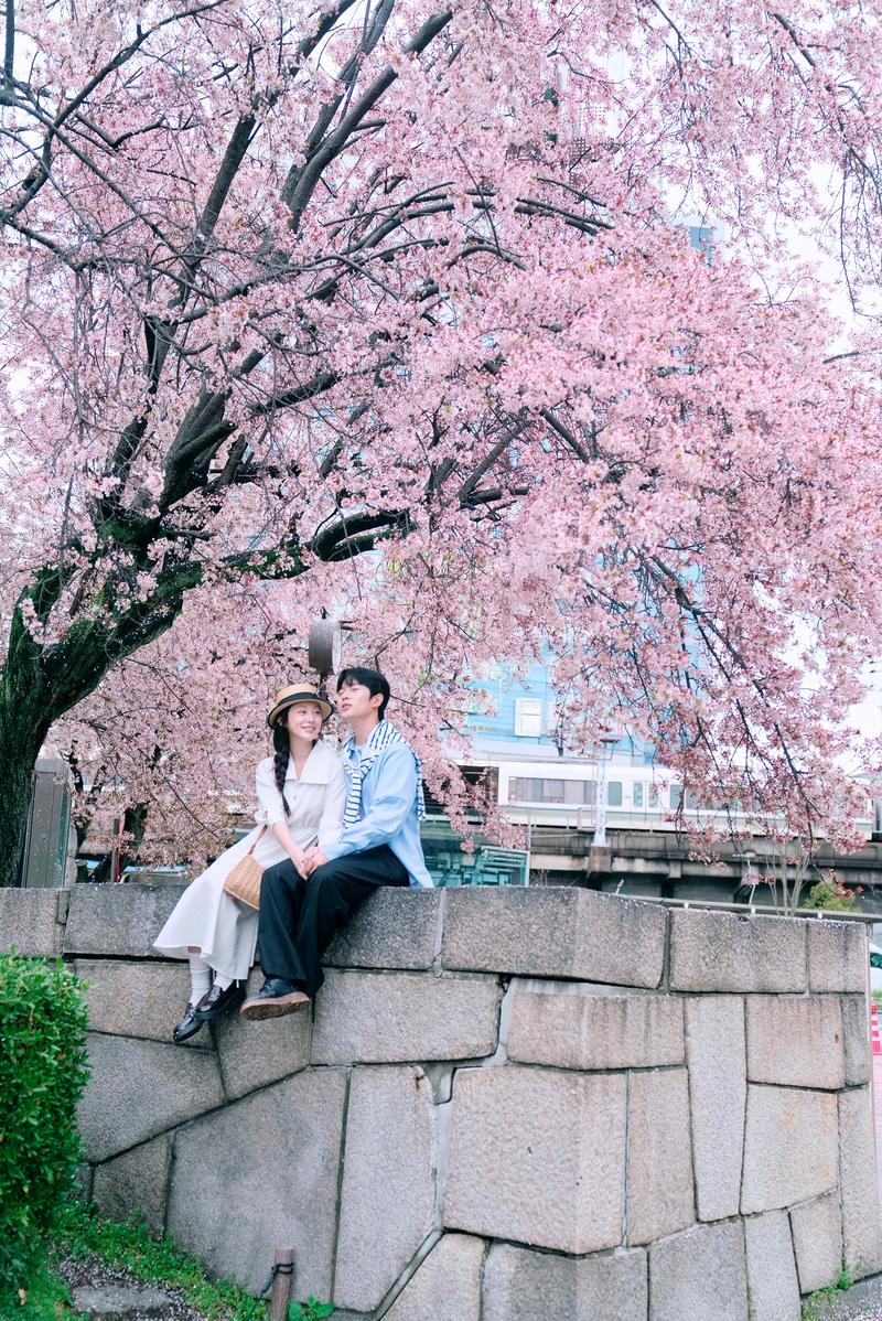 大阪余命十年樱花情侣照 第10张 日本婚纱照 日本旅拍 大阪婚纱照 日本樱花婚纱照 日本尼鹿摄影
