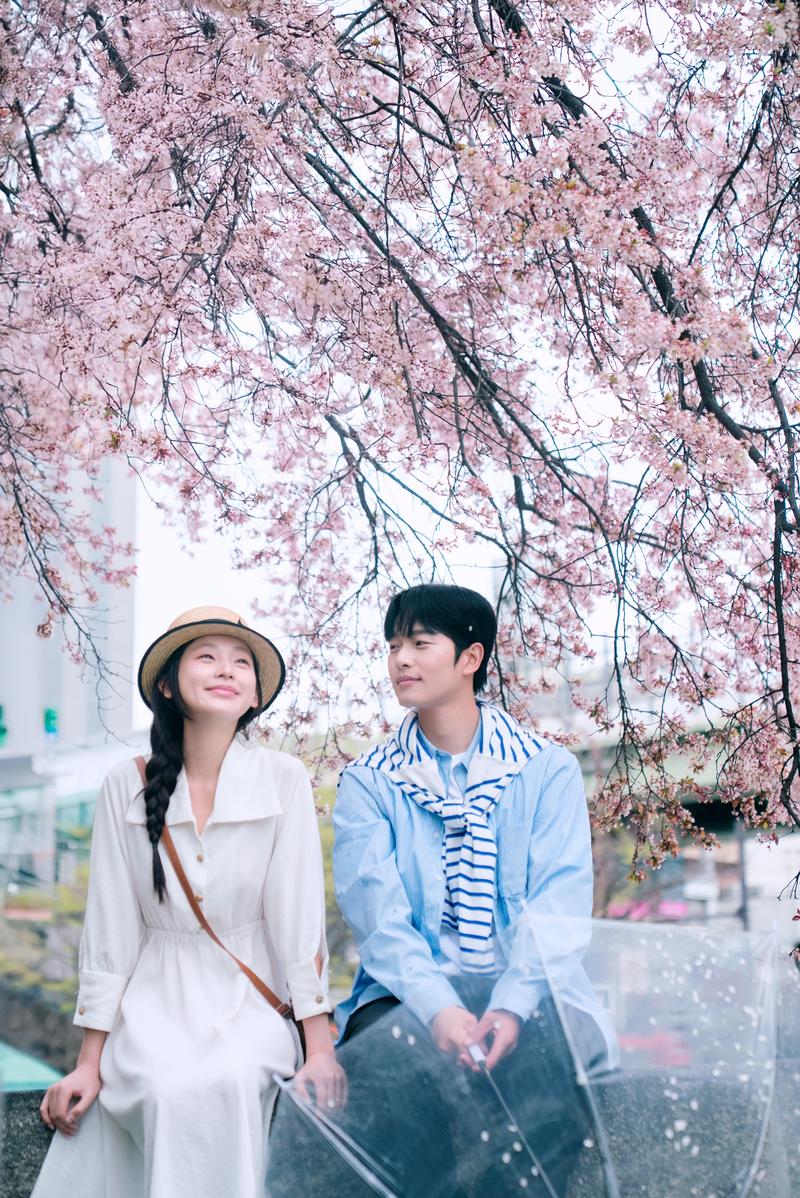 大阪余命十年樱花情侣照 第11张 日本婚纱照 日本旅拍 大阪婚纱照 日本樱花婚纱照 日本尼鹿摄影