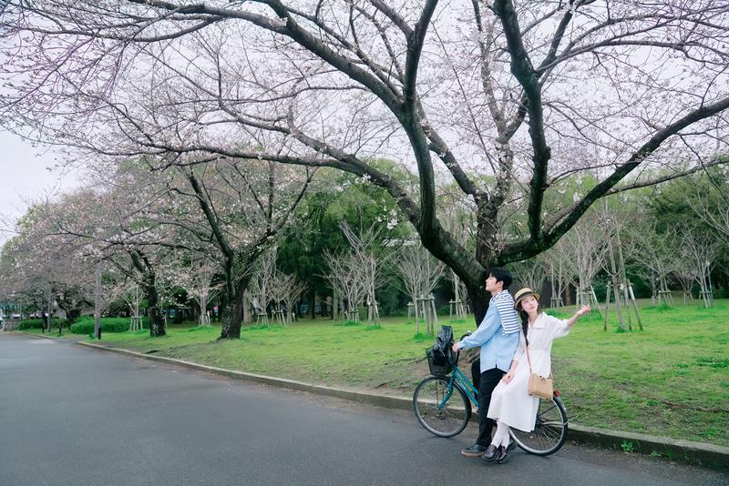 大阪余命十年樱花情侣照 第12张 日本婚纱照 日本旅拍 大阪婚纱照 日本樱花婚纱照 日本尼鹿摄影