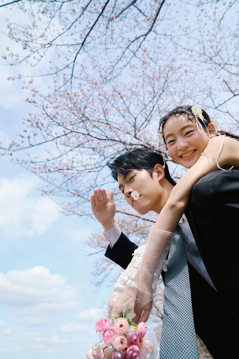 奈良列车樱花婚纱 第12张 日本婚纱照 日本旅拍 奈良旅拍 日本樱花婚纱照 日本尼鹿摄影