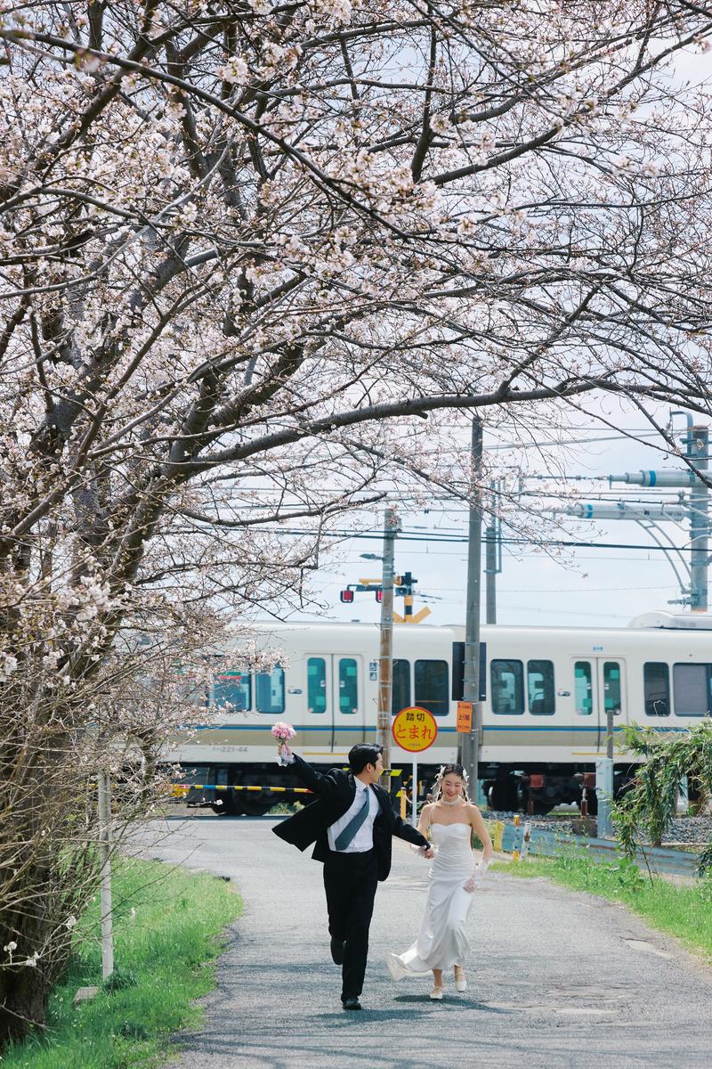 奈良列车樱花婚纱 第11张 日本婚纱照 日本旅拍 奈良旅拍 日本樱花婚纱照 日本尼鹿摄影