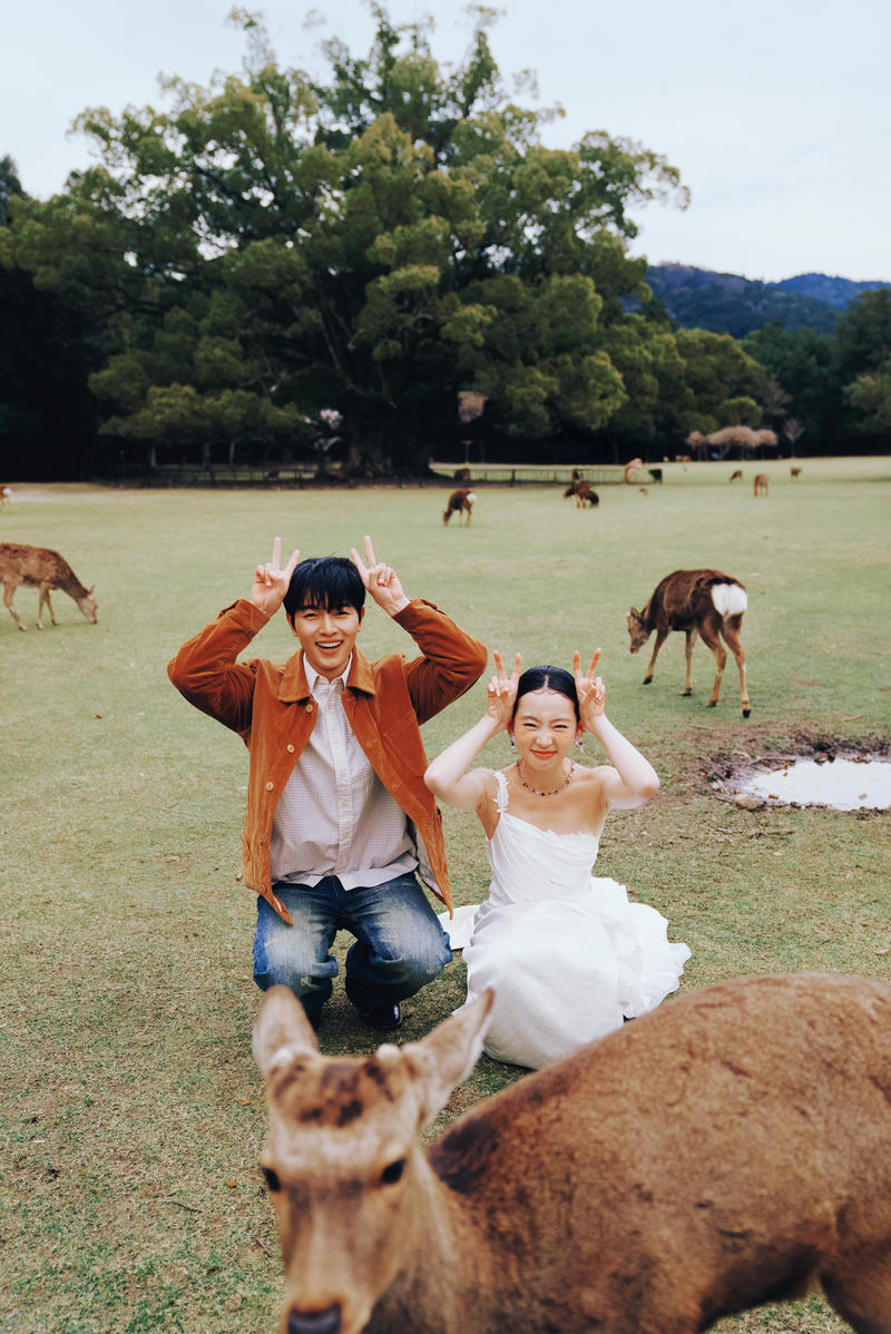 奈良小鹿 第3张 日本婚纱照 日本旅拍 奈良旅拍 日本尼鹿摄影