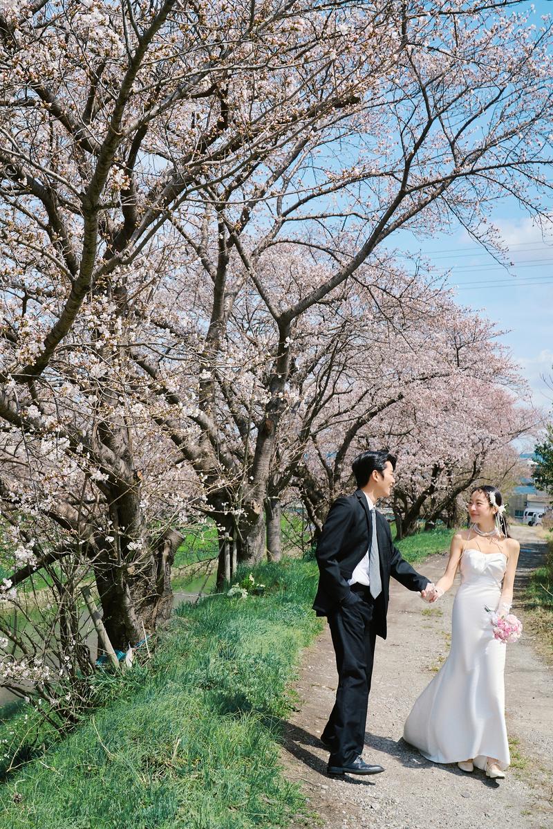 奈良列车樱花婚纱 第4张 日本婚纱照 日本旅拍 奈良旅拍 日本樱花婚纱照 日本尼鹿摄影