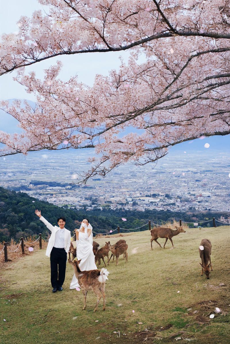 奈良小鹿 日本婚纱照 日本旅拍