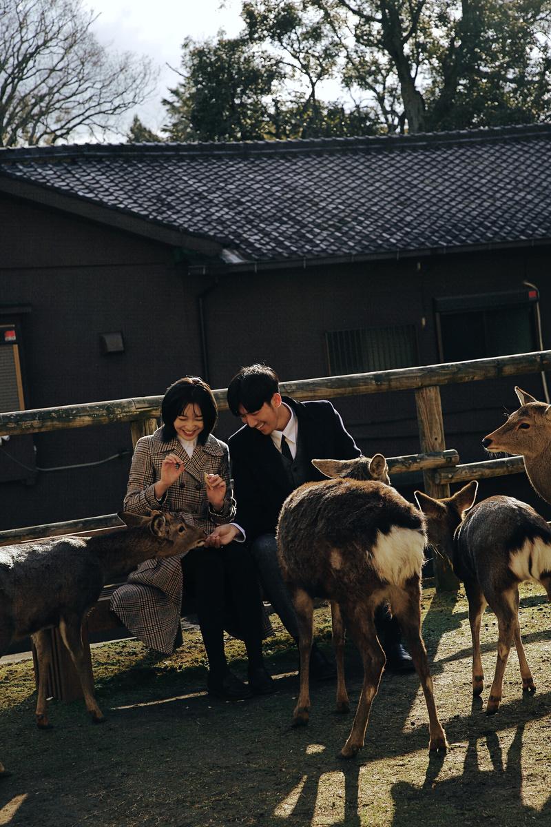 日本奈良旅拍 第14张 日本婚纱照 日本旅拍 奈良旅拍 日本尼鹿摄影