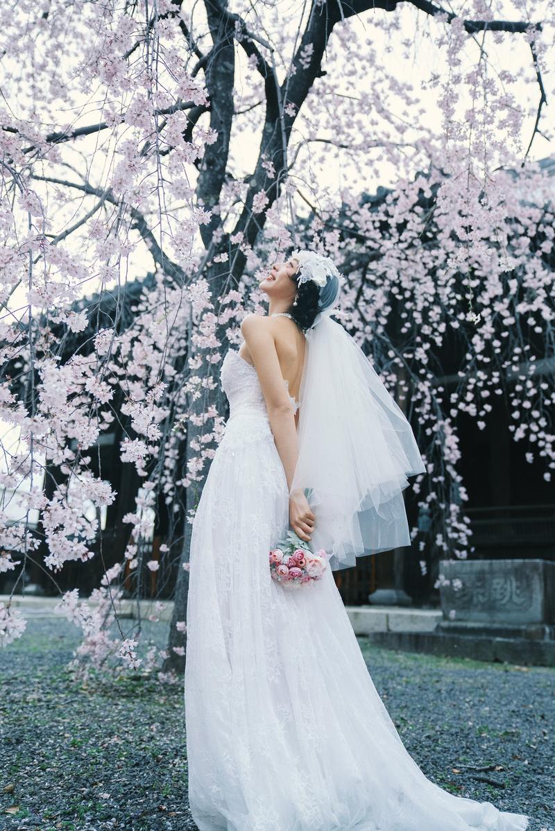 京都樱花婚纱照 第3张 日本婚纱照 日本旅拍 京都樱花婚纱照 日本樱花婚纱照 日本尼鹿摄影