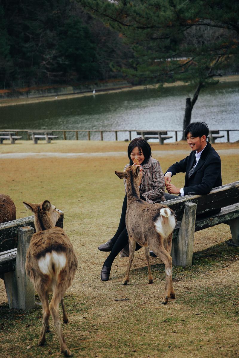日本奈良旅拍 第5张 日本婚纱照 日本旅拍 奈良旅拍 日本尼鹿摄影