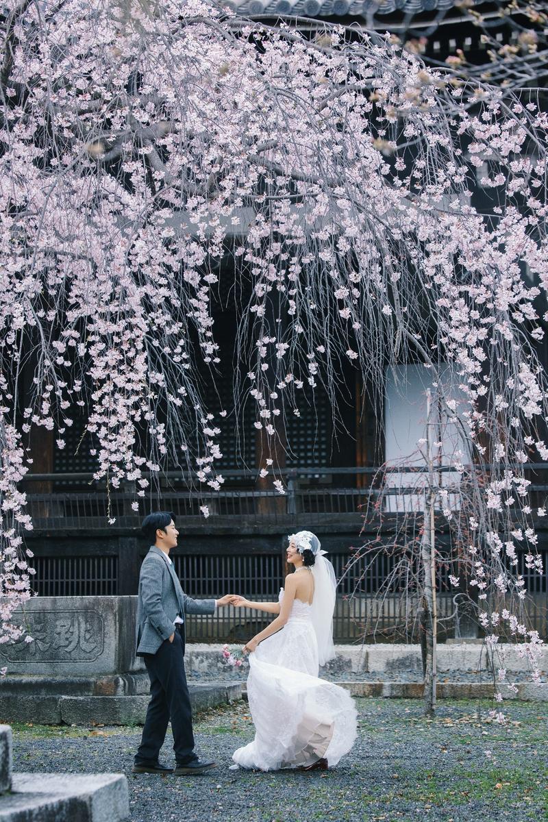 京都樱花婚纱照 第23张 日本婚纱照 日本旅拍 京都樱花婚纱照 日本樱花婚纱照 日本尼鹿摄影