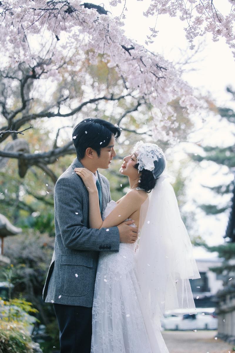 京都樱花婚纱照 第6张 日本婚纱照 日本旅拍 京都樱花婚纱照 日本樱花婚纱照 日本尼鹿摄影