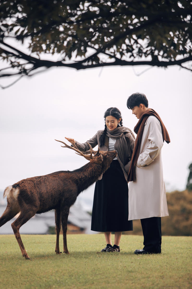 奈良小鹿 第2张 日本婚纱照 日本旅拍 奈良旅拍 日本尼鹿摄影