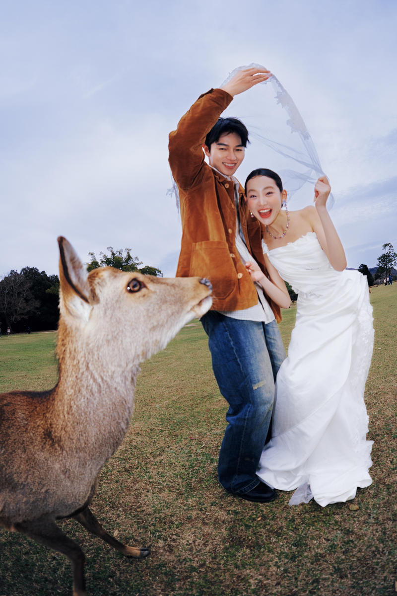 奈良小鹿 第13张 日本婚纱照 日本旅拍 奈良旅拍 日本尼鹿摄影