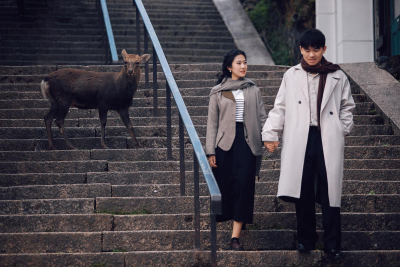 奈良小鹿 第5张 日本婚纱照 日本旅拍 奈良旅拍 日本尼鹿摄影