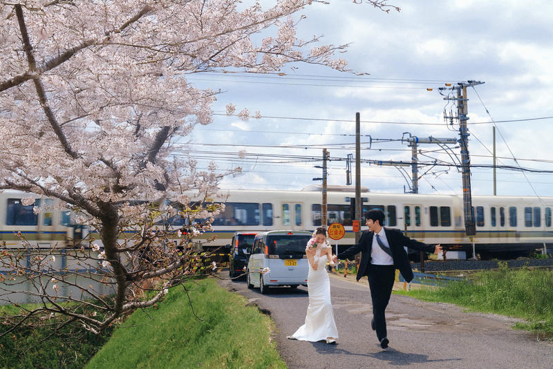 奈良列车樱花婚纱 第31张 日本婚纱照 日本旅拍 奈良旅拍 日本樱花婚纱照 日本尼鹿摄影