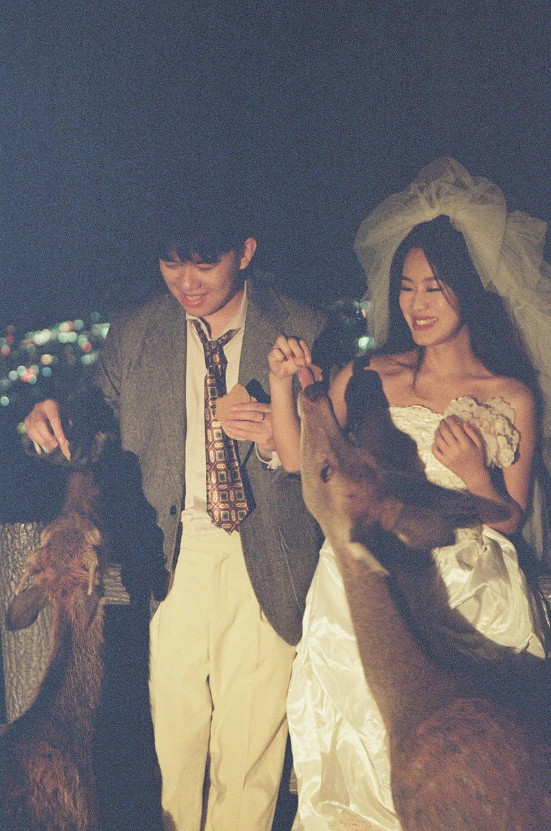 若草山夜景婚纱照 第15张 日本婚纱照 日本旅拍 日本尼鹿摄影
