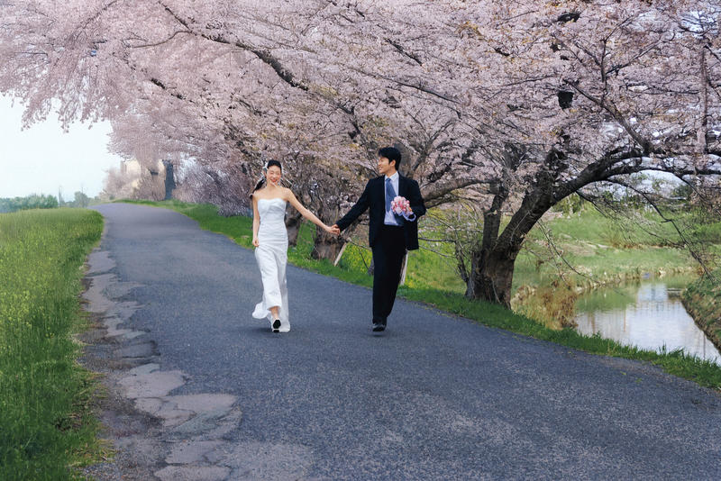 奈良列车樱花婚纱 第34张 日本婚纱照 日本旅拍 奈良旅拍 日本樱花婚纱照 日本尼鹿摄影
