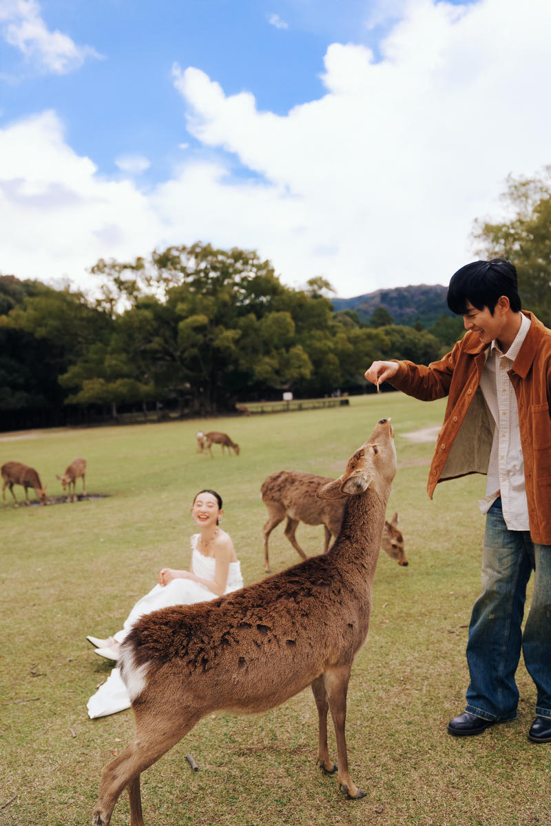 奈良小鹿 第5张 日本婚纱照 日本旅拍 奈良旅拍 日本尼鹿摄影
