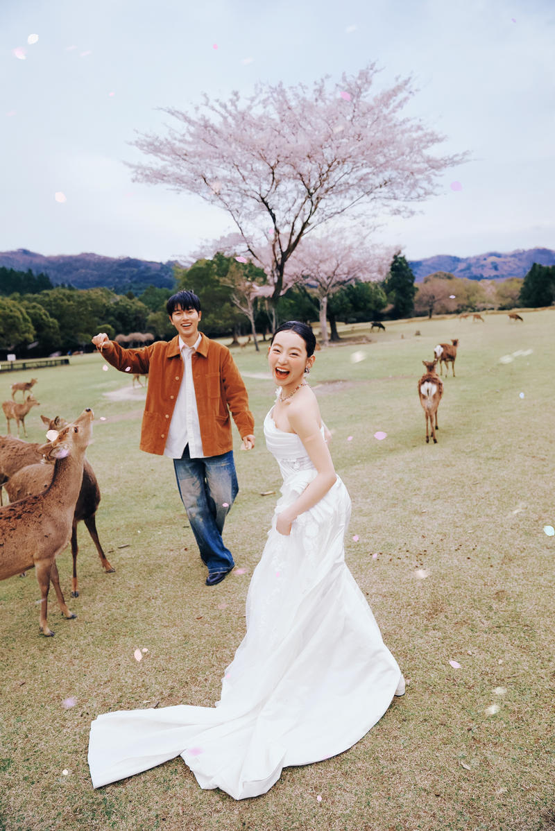 奈良小鹿 第4张 日本婚纱照 日本旅拍 奈良旅拍 日本尼鹿摄影