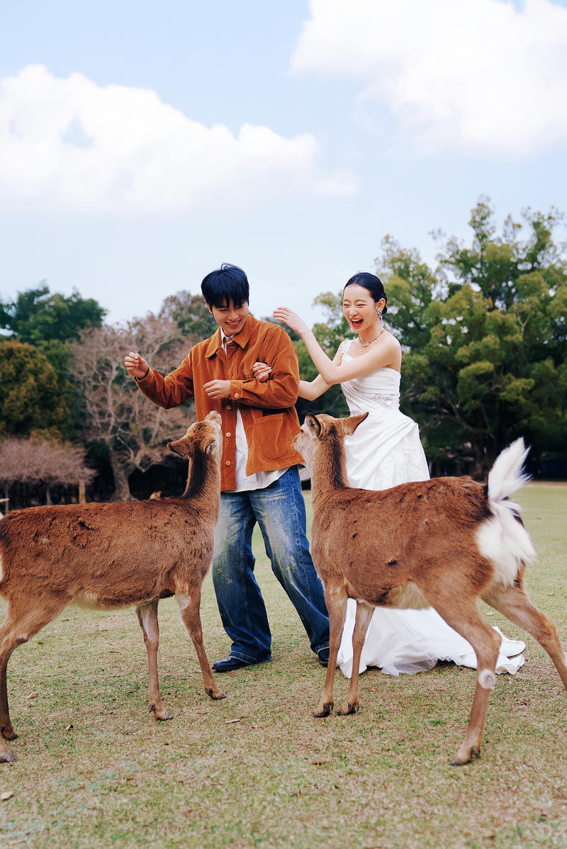 奈良小鹿 第9张 日本婚纱照 日本旅拍 奈良旅拍 日本尼鹿摄影